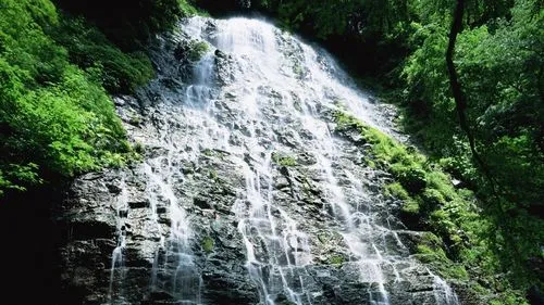 高端高性能